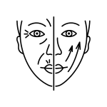 Black and white line drawing of a face split in half; the left side shows wrinkles and sagging, while the right side appears smooth with upward arrows on the cheek, suggesting a facelift or rejuvenation—an evocative representation of anti-aging and wellness inspired by the Institute For Ageless Living.
