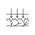 A simple line drawing shows three arrows pointing down to a wavy line above branching lines, representing penetration of a surface layer and interaction with underlying structures—an illustration often used at the Institute For Ageless Living to depict how wellness and anti-aging treatments reach beneath the surface for profound results.